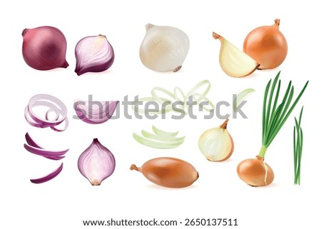 Realistic onion. 3d red green white onions cut ring half whole slice, shallot purple fresh vegetable with leaf farm food kitchen cooking herb vegan bulb, exact vector illustration original artwork