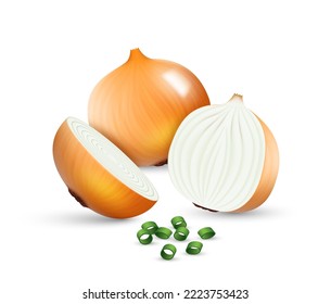 Realistic onion whole vegetable, half, sliced, green fresh sprouts cut isolated on white background. Tasty organic vegan ingredients for salad and food cooking. 3d vector illustration