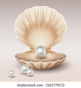 Realistic open shell with shining pearls inside. 3d freshwater or seashell oyster mollusk mother of luxury jewelry element. Vector illustration