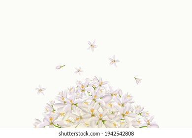 Realistic Orange Flowering Branch, Leaves, Neroli Flowers And Bud. Perfumery And Medical Plant.Labels Of Cosmetic Skin Care Product Design .Vector Illustration.