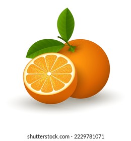 Realistic orange fruit. Fresh oranges slice 3d vector illustration, clementine isolated, tangerine crop image