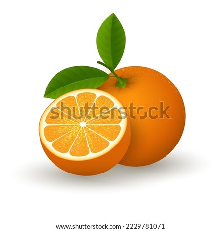 Realistic orange fruit. Fresh oranges slice 3d vector illustration, clementine isolated, tangerine crop image