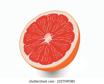 Realistic Orange fruit vector Design