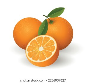 Realistic orange fruits. Juicy tangerine round half slice isolated, fresh oranges cut with leaves organic vector illustration