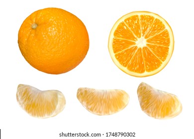 Realistic orange isolated on white background. Set of fresh orange fruit. Vector illustration