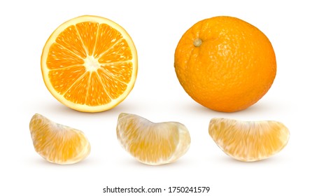 Realistic orange isolated on white background. Set of fresh orange fruit. Vector illustration