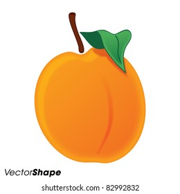 Realistic orange juicy peach vector illustration