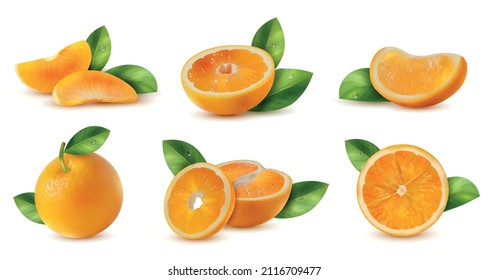 Realistic orange leaves set with isolated images of whole and cut juicy fruits with fresh greenery vector illustration