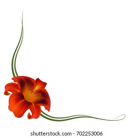 Realistic orange lily flower, corner.