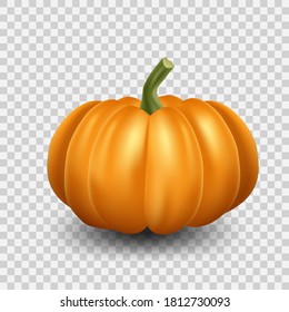 Realistic orange pumpkin icon. Halloween scary pumpkin on transparent background.