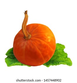 Realistic orange pumpkin on green leaves isolated on white background. Photorealistic style. Vector graphic illustration