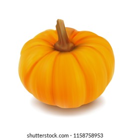 Realistic orange pumpkin. Vector illustration.