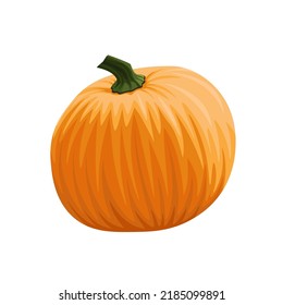 Ilustración vectorial de calabaza naranja realista al estilo de las caricaturas. Calabaza para dar gracias sobre fondo blanco. Frutos del otoño. Cosecha. Aislado.