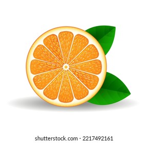 Realistic orange slice. Aroma tangerine mandarine round section isolated on white background, oranges sliced fruit with leaves vector picture