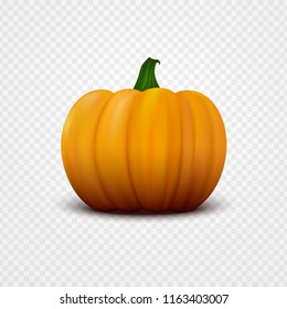 Realistic orange vector pumpkin isolated on transparent background. Single fresh vegetable close-up