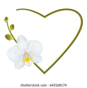 Realistic orchid frame, heart