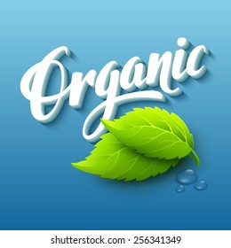 Realistic organic logo with leaves. Vector illustration 