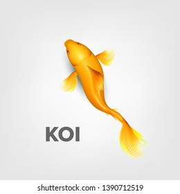 Realistic Oriental Bright Yellow Koi Fish Vector. Second Name Of Decorative Koi Is Asagi Swimming In Outdoor Pond Or Water Garden. Chinese Goldfish And Traditional Fishery Top View Illustration