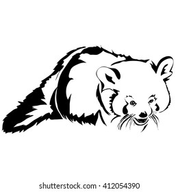 Realistic outline red panda vector illustration. Can be use for logo and tattoo.