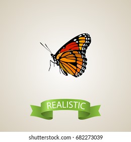 Realistic Painted Lady Element. Vector Illustration Of Realistic Milkweed Isolated On Clean Background. Can Be Used As Brown, Butterfly And Monarch Symbols.