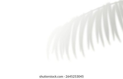 Realistic palm leaf shadow. Gray blurred shadows of plant foliage. Natural light overlay effect for summer design. Exotic tropical palm  branch isolated on white background. Vector illustration