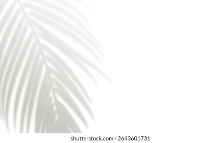 Realistic palm leaf shadow isolated on white background. Gray blurred shadows of tropical leaves. Design element for summer banner, flyer, poster, party invitation. Overlay effect. Vector illustration