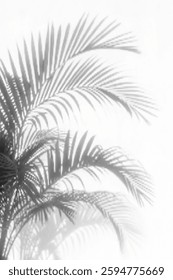 realistic palm leaf shadow overlay with a soft, tropical effect. Perfect for summer backgrounds, natural design elements, wallpapers, templates, and artistic photo compositions with a modern touch.	