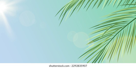 Realistic palm leaves against sky and sun. Summer tropical illustration of green exotic palm tree branches. Vector template for background, wallpaper.