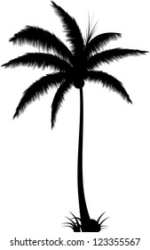 Realistic Palm Tree Silhouette