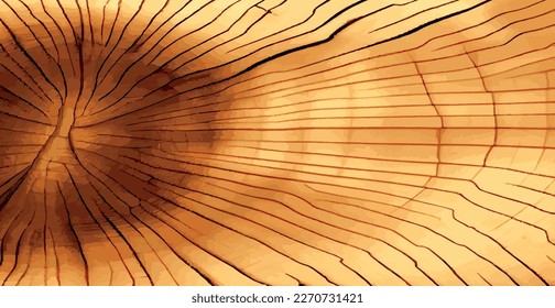 Realistic panoramic texture of the tallest green tree in the world, made in the USA - Vector illustration