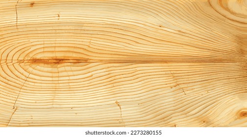 Realistic panoramic texture of the tallest green tree in the world, made in the USA - Vector illustration