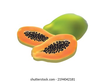 Realistic of papaya. Detailed illustration. 