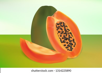 Realistic Papaya Vector Design