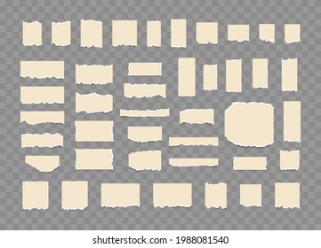 Realistic paper scraps with torn edges. Rippeds white note.