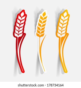 Realistic paper sticker: Ears of wheat. Isolated illustration icon