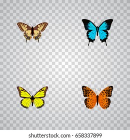 Realistic Papilio Ulysses, Archippus, Danaus Plexippus And Other Vector Elements. Set Of Beauty Realistic Symbols Also Includes Yellow, Monarch, Bluewing Objects.