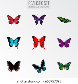 Realistic Papilio Ulysses, Azure Peacock, Birdwing And Other Vector Elements. Set Of Butterfly Realistic Symbols Also Includes Pink, Butterfly, Blue Objects.