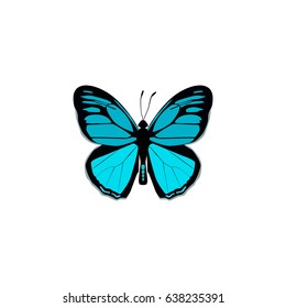 Realistic Papilio Ulysses Element. Vector Illustration Of Realistic Sky Animal Isolated On Clean Background. Can Be Used As Butterfly, Bluewing And Blue Symbols.