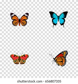 Realistic Papilio Ulysses, Milkweed, Monarch And Other Vector Elements. Set Of Moth Realistic Symbols Also Includes Monarch, Bluewing, American Objects.