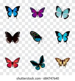 Realistic Papilio Ulysses, Purple Monarch, Common Blue And Other Vector Elements. Set Of Beauty Realistic Symbols Also Includes Sky, Blue, Butterfly Objects.