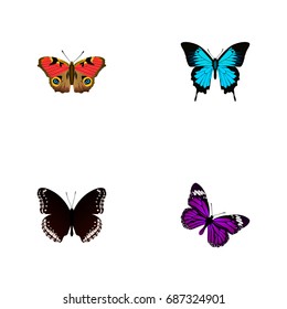 Realistic Papilio Ulysses, Spicebush, American Painted Lady And Other Vector Elements. Set Of Butterfly Realistic Symbols Also Includes Bluewing, Black, Butterfly Objects.