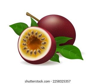 Realistic passion fruit. Purple maracuya whole full and half isolated on white background, passiflora edulis delicious fresh juicy fruits objects vector illustration