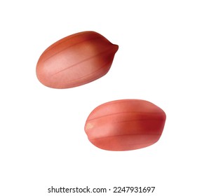 Realistic peanut composition with isolated image on blank background vector illustration