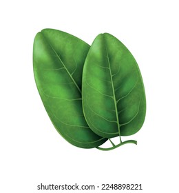 Realistic peanut composition with isolated image on blank background vector illustration