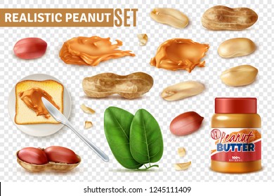 Realistic peanut on transparent background set with isolated arachis beans with shell and jar of butter vector illustration