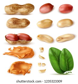 Realistic peanut set of isolated images of beans in shell with green leaves and peanut butter vector illustration