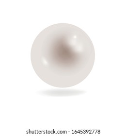  realistic pearl illustration vector eps10