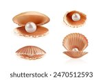 Realistic pearl shell. 3d oysters shells closeup, opened closed oyster seashell with white pearls, isolated concha cockleshell sea marine open scallop exact vector illustration of shell ball jewelry