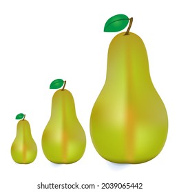 Realistische Birnen mit grünem Blatt auf weißem Hintergrund. Frischbirnen-Beschneidungspfad. Qualitätsfoto für Ihr Projekt, Vektorgrafik.