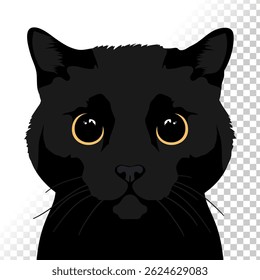 Realistic peeking black cat with big yellow eyes. Vector illustration